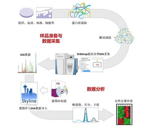 專注蛋白質(zhì)組與代謝組技術(shù)服務(wù)，拜譜生物完成千萬(wàn)元級(jí)Pre-A輪融資